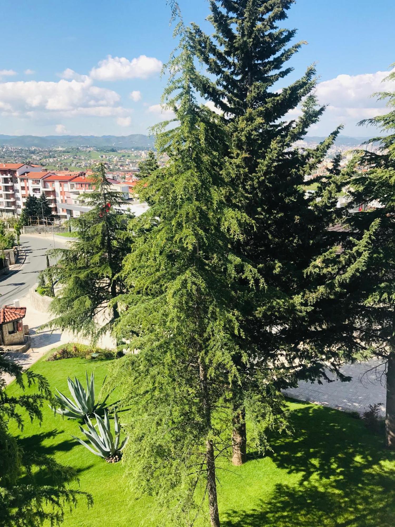 Chateau Linza Resort 地拉那 外观 照片